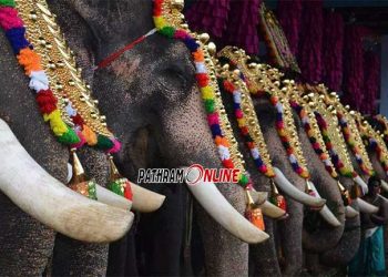 രാജഭരണമല്ല..!! ദേവസ്വങ്ങള് പിടിവാശി ഉപേക്ഷിക്കണം…!!! ആനകളെ എഴുന്നള്ളിക്കുന്നത് അനിവാര്യമായ മതാചാരമല്ല..!! സുപ്രീം കോടതി ഉത്തരവ് നടപ്പാക്കാതിരിക്കാൻ ആവില്ലെന്നും ഹൈക്കോടതി…!!!