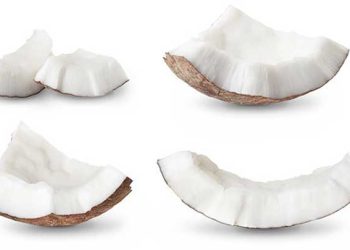 തേങ്ങാപ്പൂളില്‍ വച്ച എലിവിഷം  കഴിച്ചു..!!  വിദ്യാർത്ഥിനി മരിച്ചു; വൈകുന്നേരം സ്‌കൂള്‍ വിട്ടുവന്ന ശേഷം വീട്ടിൽ ആരുമില്ലാത്ത നേരത്തായിരുന്നു എലിവിഷം ഉള്ളത് അറിയാതെ തേങ്ങാപ്പൂൾ കഴിച്ചത്..