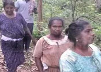 കൂരാക്കൂരിരുട്ട്, പുറത്ത് ആനയുടെ ചിന്നംവിളി, പ്രാണനും കയ്യിൽ പിടിച്ചുകൊണ്ട് ഒരു രാത്രി മരപ്പൊത്തിനും പാറക്കെട്ടുകൾക്കുമിടയിലായി, അന്വേഷിച്ചെത്തിയവരുടെ ശബ്ദം കേട്ടിട്ടും മിണ്ടാനായില്ല; കുട്ടമ്പുഴ കാട്ടിനുള്ളില് അകപ്പെട്ട സ്ത്രീകൾ രക്ഷപ്പെട്ടത് തലനാരിഴയ്ക്ക്