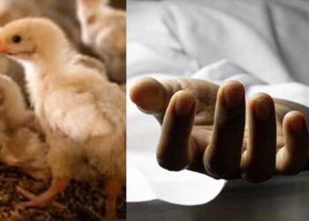 കുട്ടികളുണ്ടാകാൻ മന്ത്രവാദിയുടെ വാക്കുകേട്ട് കോഴിയെ ജീവനോടെ വിഴുങ്ങി..!!! യുവാവിന് ദാരുണാന്ത്യം..!! പോസ്റ്റ് മോർട്ടം ചെയ്തപ്പോൾ ശരീരത്തിനുള്ളിൽ കോഴിയെ ജീവനോടെ കണ്ടെത്തി…!!!