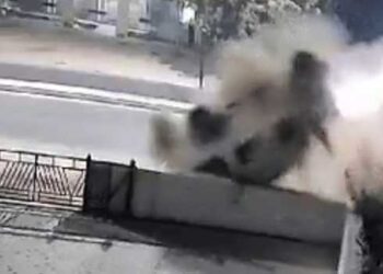 ഓടിക്കൊണ്ടിരുന്ന കാർ തലകീഴായി മറിഞ്ഞത് എട്ടുതവണ, പുറത്തിറങ്ങിയ യാത്രക്കാർ ആവശ്യപ്പെട്ടത് ചേട്ടാ ഒരു ചായ…!!