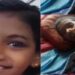 പത്തുമാസം, ദൃഷാനയ്ക്കു നീതി വാങ്ങിക്കൊടുക്കാൻ തുനിഞ്ഞിറങ്ങി പോലീസ്, പരിശോധിച്ചത് 19,000 വാഹനങ്ങൾ, 500 വർക്ക്ഷോപ്പുകൾ,  50,000 ഫോൺകോളുകൾ, ഒടുവിൽ തുമ്പ് കിട്ടിയത് ഇൻഷൂറൻസ് ക്ലെയിമിന് ശ്രമിച്ചപ്പോൾ
