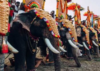 കേരളം ഹിമാലയത്തിലല്ല, അതിനാൽ ചൂടുണ്ടാകും, മനുഷ്യരുടെ നീക്കങ്ങൾ പോലും പ്രവചിക്കാനാവില്ല അപ്പോൾ എങ്ങനെയാണ് ആനയുടെ നീക്കങ്ങൾ പ്രവചിക്കുക?  മൂന്നുമീറ്റർ അകലം പാലിക്കണമെന്ന് ആനകളോട് എങ്ങനെ നിർദ്ദേശിക്കാനാകും..?  ഹൈക്കോടതിയെ രൂക്ഷമായി വിമർശിച്ച് സുപ്രീം കോടതി, വിധിക്ക് സ്റ്റേ…