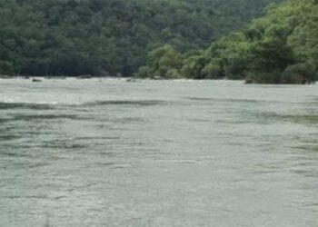 യുവതി സ്കൂട്ടറിൽ എത്തി, പാലത്തിന് സമീപം നിർത്തി..!! പുഴയിലേക്ക് ചാടി ജീവനൊടുക്കി…!!!