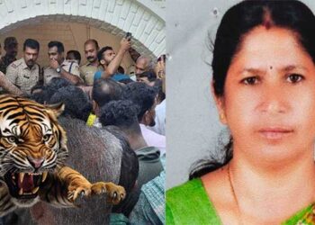 കടുവ കൊന്നു തിന്നത് മിന്നു മണിയുടെ ബന്ധുവിനെ…!! വളരെ ഞെട്ടിക്കുന്ന വാർത്തയാണെന്ന് ഇന്ത്യൻ ക്രിക്കറ്റ് താരം…. കടുവയെ എത്രയും പെട്ടെന്ന് പിടികൂടണമെന്നും ആവശ്യപ്പെട്ട് താരം