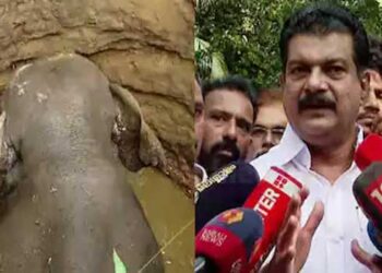 ആനയെ ആ കിണറ്റിൽ തന്നെയിട്ട് മണ്ണിട്ട് മൂടണം…!! ജനങ്ങളെ ചവിട്ടിക്കൊല്ലുമ്പോൾ കൊടുക്കാനുള്ള ചെക്ക് ഇപ്പോഴേ ഒപ്പിട്ടുവച്ചേക്കുവാണ് വനം വകുപ്പ്… ഫോറസ്റ്റ് ഓഫിസുകൾ പ്രവർത്തിക്കാൻ ജനങ്ങൾ അനുവദിക്കരുത്- പിവി അൻവർ…!! ആരോ​ഗ്യ സ്ഥിതി നോക്കി മയക്കുവെടി വയ്ക്കുമെന്ന് ഡി എഫ്ഒ,