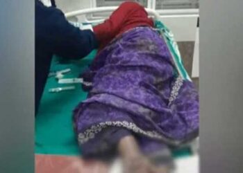 ശബ്ദം കേട്ട് പുറത്തിറങ്ങിയപ്പോൾ തട്ടിവീഴ്ത്തി… കാൽ ചവിട്ടിയൊടിച്ചു, കാട്ടാനയുടെ ആക്രമണത്തിൽ വയോധികയ്ക്ക് പരുക്ക്