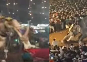 നേർച്ചയ്ക്കിടെ ആനയിടഞ്ഞു…,  ഒരാളെ തുമ്പിക്കൈയിൽ തൂക്കി എറിഞ്ഞു…!! 17 പേർക്ക് പരുക്ക്…!! ആന ഓടുന്നത് ഒഴിവാക്കാൻ പാപ്പാന് കഴിഞ്ഞത് വലിയ ദുരന്തം ഒഴിവാക്കി….