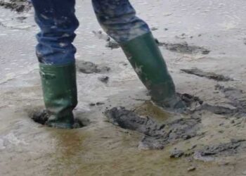 ലൊക്കേഷൻ പരിശോധിക്കുന്നതിനിടെ സിനിമ ആർട്ട് ഡയറക്ടർ ചതുപ്പിൽ കുടുങ്ങി, രക്ഷകരായി അഗ്നി രക്ഷാസേന, അപകടം ദിലീപ് നായകനായെത്തുന്ന സിനിമയുടെ ലൊക്കേഷൻ പരിശോധിക്കുന്നതിനിടെ