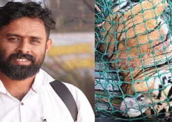 ആദ്യം ഞെട്ടൽ, പിന്നീട് ആശ്വാസം… കടുവ ചത്തു കിടന്നത് വീടിന്റെ അഞ്ചുമീറ്റർ മാത്രം അകലെ, അറിഞ്ഞത് രാവിലെ, വീഡിയോ എടുക്കരുതെന്ന് നിർദ്ദേശം- തന്റെ വീടിന്റെ ചുറ്റുവട്ടത്തുതന്നെ ആളെക്കൊല്ലി കടുവയുണ്ടായിരുന്നെന്ന നടുക്കത്തിൽ റിജോ