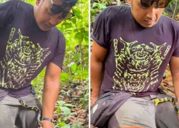 പാമ്പ് കടിച്ചത് അസ്ഥാനത്ത്… വേദനകൊണ്ട് പുളഞ്ഞ് സോഷ്യൽ മീഡിയ ഇൻഫ്ലുവൻസർ അംഗാര ഷോജി, പാമ്പിനെ പിടിക്കുന്ന വിഡിയോ ചിത്രീകരിക്കുന്നതിനിടെ സ്വകാര്യ പാമ്പ് കടിച്ചുതൂങ്ങി