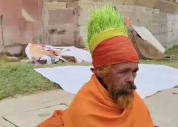 നിന്റെ തലയിൽ കളിമണ്ണാണോയെന്ന ചോദ്യം ഇനി വേണ്ട, ഇതാ തലയിൽ ഒരു നെൽപ്പാടം, ഞാറു മാത്രമല്ല ഗോതമ്പ്, ചെറുധാന്യങ്ങൾ, കടലയും ഇവിടെ വിളയും