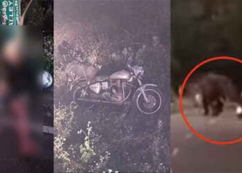 ബൈക്ക് ഉൾപ്പെടെ കാട്ടാന കൊമ്പിൽ കോ‍ർത്ത് എറിഞ്ഞു…!!! ഓടി ര​ക്ഷപെടാൻ ശ്രമിച്ചു.. പക്ഷേ..  ജ‍ർമൻകാരൻ ദാരുണമായി കൊല്ലപ്പെട്ടത് റോഡ് മുറിച്ച് കടന്ന കാട്ടാനയുടെ പിന്നിലൂടെ പോകാൻ ശ്രമിച്ചപ്പോൾ…