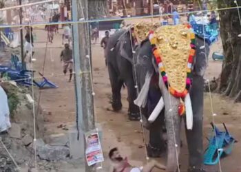 ക്ഷേത്ര ഉത്സവത്തില്‍ ആന ഇടഞ്ഞത് പടക്കം പൊട്ടുന്ന ശബ്ദം കേട്ടെന്ന് പ്രാഥമിക നിഗമനം, മരിച്ചവരുടെ പോസ്റ്റുമാര്‍ട്ടം ഇന്ന്, കൊയിലാണ്ടി നഗരസഭയിലെ ഒന്‍പത് വാര്‍ഡുകളില്‍ ഹര്‍ത്താല്‍