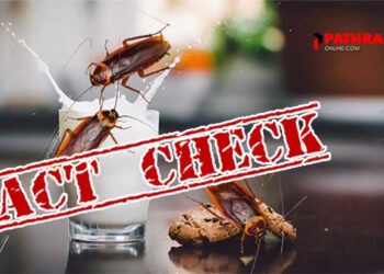 പശുവിൻ പാലിന് പകരം ഇനി പാറ്റപ്പാൽ കുടിക്കേണ്ടി വരുമോ….!!! പാറ്റയുടെ പാൽ പശുവിൻ പാലിനേക്കാൾ പോഷകസമൃദ്ധം…? സൂപ്പർ ഫുഡ് ആണോ…?  സത്യാവസ്ഥ എന്താണ്… Fact Check…!!!