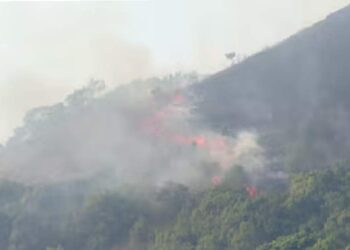 ദുരൂഹത? കമ്പമലയിൽ വീണ്ടും കാട്ടുതീ; വനംവകുപ്പും ഫയർഫോഴ്‌സും സ്ഥലത്ത്