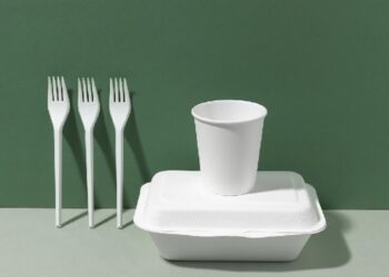 പ്ലാസ്റ്റിക് ഉപയോഗിച്ചുള്ള പാത്രങ്ങളില് കഴിക്കുന്നവരുടെ ശ്രദ്ധയ്ക്ക്; കാത്തിരിക്കുന്നത് ഹൃദ്രോഗങ്ങള്