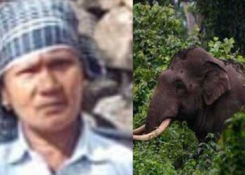 കുളിക്കാനായി അരുവിലേക്കു പോവുകയായിരുന്ന വീട്ടമ്മയ്ക്ക് കാ​ട്ടാ​ന ആ​ക്ര​മ​ണ​ത്തി​ൽ ദാ​രു​ണാ​ന്ത്യം; മൃതദേഹം മാറ്റാൻ സമ്മതിക്കാതെ നാട്ടുകാരുടെ പ്രതിഷേധം, ആറാഴ്ചയ്ക്കുള്ളിൽ വന്യജീവി ആക്രമണത്തിൽ കൊല്ലപ്പെട്ടത് ഏഴുപേർ