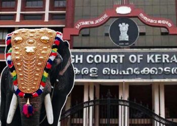 ആനയുടെ പേരിൽ പുലിവാല് പിടിച്ച് ഗുരുവായൂർ ദേവസ്വം…!!! ദൂരസ്ഥലങ്ങളിലേക്ക് ആനയെ കൊണ്ടുപോകാൻ അനുമതി നൽകുന്നത് എന്തിന്…? ആർക്കെതിരെയാണ് കേസെടുക്കേണ്ടത്..? സംഭവത്തിൽ നേരിട്ട് ഇടപെട്ട് ഹൈക്കോടതി…