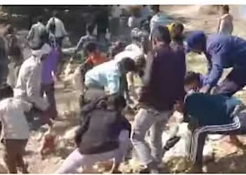 കോഴികളുമായി എത്തിയ ലോറി മറിഞ്ഞു..!!! കോഴികളെ പിടികൂടാൻ ഓടിക്കൂടി ജനം..!! പരുക്കേറ്റ ഡ്രൈവറേയും സഹായിയേയും ആരും തിരിഞ്ഞു നോക്കിയില്ല….