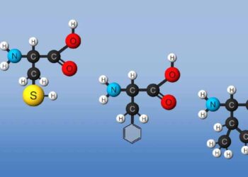 ശരീരത്തില്‍ അമിനോ ആസിഡുകളുടെ പ്രധാന്യം എന്ത്? കുറഞ്ഞാല്‍ സംഭവിക്കുന്നത്…