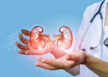 വൃക്കയെ സംരക്ഷിക്കാം, ഭക്ഷണക്രമത്തിലും വേണം ശ്രദ്ധ; ചില പാനീയങ്ങളെ പരിചയപ്പെടാം