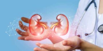 വൃക്കയെ സംരക്ഷിക്കാം, ഭക്ഷണക്രമത്തിലും വേണം ശ്രദ്ധ; ചില പാനീയങ്ങളെ പരിചയപ്പെടാം