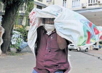 ഇന്നലെ ആക്രമിച്ച തേനീച്ചകളെ എന്തുചെയ്യണമെന്ന് തീരുമാനിക്കാൻ കലക്ടറേറ്റിൽ അടിയന്തര യോ​ഗം, യോ​ഗത്തിനെത്തിയവരെ അറഞ്ചം പുറഞ്ചംകുത്തി തേനീച്ചകൾ, 79 പേർ ആശുപത്രിയിൽ