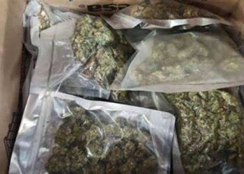 കൊറിയർ വഴിയും കേരളത്തിൽ ലഹരിമരുന്ന് വിതരണം, മേഘാലയയിൽ നിന്നെത്തിയ പാഴ്സലിൽ നിന്ന് ഒരു കിലോ കഞ്ചാവ് പിടികൂടി, എറണാകുളത്ത് പിടികൂടിയ എംഡിഎംഎ കേസുമായി ബന്ധമെന്ന് സൂചന