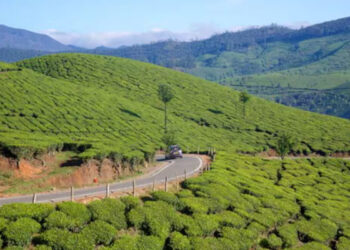 ഇടുക്കിയില്‍ അടുത്തമാസം2 വരെ ആളുകള്‍ക്ക് പുറത്തിറങ്ങാനോ ഒത്തുചേരാനോ പറ്റില്ല: അര്‍ധരാത്രിയില്‍ നിരോധനാജ്ഞ പ്രഖ്യാപിച്ചു