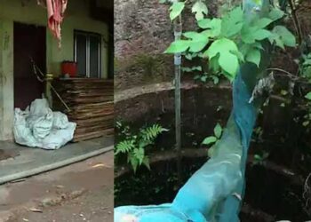 നാല് മാസം പ്രായമായ കുഞ്ഞിന്റെ കൊലയ്ക്കു പിന്നിൽ സ്നേഹം നഷ്ടപ്പെടുമോയെന്ന ഭീതി, മാതാപിതാക്കളില്ലാത്ത 12 കാരി താമസിച്ചത് യാസികയുടെ കുടുംബത്തിനൊപ്പം, കുട്ടിയെ കാണുന്നില്ലെന്ന കാര്യം അറിയിച്ചതും പെൺകുട്ടിതന്നെ