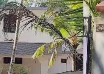 ഭർതൃവീട്ടിൽ കഴുത്തറുത്ത നിലയിൽ ആശുപത്രിയിലെത്തിച്ച ദന്ത ഡോക്ടർ മരിച്ചു, മരണത്തിനു പിന്നിൽ കുട്ടികളുണ്ടാകാത്തതിലുള്ള മാനസിക വിഷമം?