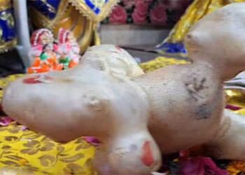 ഉരുളക്കിഴങ്ങിന് മഹാവിഷ്ണുവിന്റെ രൂപം, ക്ഷേത്രത്തിൽ ശ്രീരാമ വിഗ്രഹത്തിനടുത്ത് പ്രതിഷ്ഠിച്ച് തന്ത്രി, ഒഴുകിയെത്തി ഭക്തർ