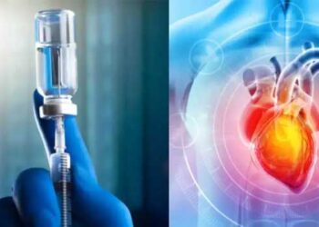 ചികിത്സാരംഗത്ത് വൻ വഴിത്തിരിവ്..!!  പക്ഷാഘാതത്തേയും ഹൃദയാഘാതത്തേയും ചെറുക്കാൻ പുതിയ വാക്സിൻ പണിപ്പുരയിൽ തയാറാകുന്നതായി ചൈനീസ് ശാസ്ത്രജ്ഞർ… ആദ്യ പരീക്ഷണം എലികളിൽ…