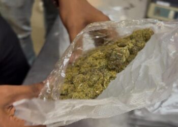 ആലപ്പുഴയിൽ 2 കോടി രൂപയുടെ ഹൈബ്രിഡ് കഞ്ചാവുമായി ചെന്നൈ സ്വദേശിനി പിടിയിൽ,  യുവതി കഞ്ചാവ് വില്പനയ്‌ക്കെത്തിയത് മക്കളോടൊപ്പം,  പിടിയിലായത് സെക്സ് റാക്കറ്റിലെ പ്രധാന കണ്ണി