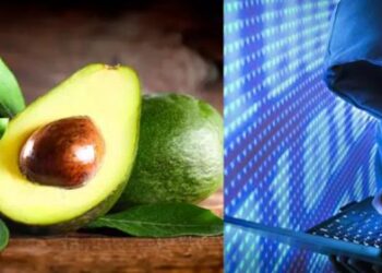 ഓൺലൈനിൽ അവക്കാഡോ  ഓർഡർ ചെയ്ത വിദ്യാർത്ഥിക്ക്  കിട്ടിയത് എട്ടിന്റെ പണി…  രണ്ടര ലക്ഷം തട്ടി സൈബർ തട്ടിപ്പുകാർ