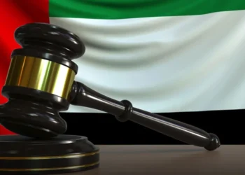 വീട്ടുടമയുടെ കുട്ടിയോട് ക്രൂരമായിപെരുമാറി:  വീട്ടുജോലിക്കാരിക്ക് 10,000 ദിർഹം  പിഴ ചുമത്തി യുഎഇ കോടതി