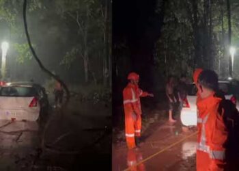 ചതിച്ചത് മഴയല്ല, ​ഗൂ​ഗിൾ മാപ്പ്, അർദ്ധരാത്രിയിൽ യുവാക്കൾ വനത്തിൽ കുടുങ്ങിയത് മൂന്നുമണിക്കൂർ