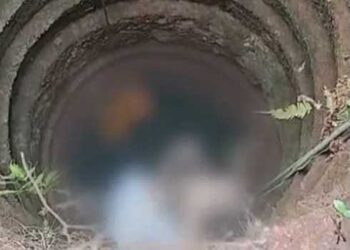 അമ്മയേയും രണ്ടു മക്കളേയും കാണാനില്ല, രാത്രി മുഴുവൻ നാട്ടുകാരുടെ നേതൃത്വത്തിൽ തിരച്ചിൽ, ഒടുവിൽ അമ്മയും മക്കളും വീട്ടുമുറ്റത്തെ കിണറ്റിൽ മരിച്ച നിലയിൽ