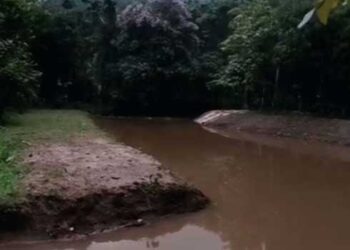 അമ്മ കൈക്കുഞ്ഞുമായി വീട്ടിൽ, കളിക്കാനിറങ്ങിയ മൂന്ന് സഹോദരങ്ങൾ ചിറയിൽ മുങ്ങിമരിച്ചു, ഏഴും ആറും നാലും വയസുള്ള കുട്ടികളുടെ മ‍ൃതദേഹങ്ങൾ ചെളിയിൽ പൂണ്ട നിലയിൽ