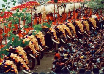 പൂരം കലക്കാൻ ഒരുത്തനേയും അനുവദിക്കരുത്, പ്രശ്നക്കാരെ നിയമപരമായി തന്നെ നേരിടണം- ഹൈക്കോടതി, മറുവശത്ത് വെടിക്കെട്ട് പ്രതിസന്ധി പരിഹരിക്കാൻ ദേവസ്വം ഭാരവാഹികളുമായി സുരേഷ് ​ഗോപി ഡൽഹിക്ക്