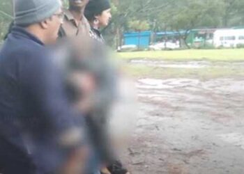 കുടുംബത്തോടൊപ്പം ഊട്ടിയിൽ പൈൻ ഫോറസ്റ്റ് കാണാനെത്തിയ 15 കാരന് ദാരുണാന്ത്യം, അപകടം മരം കടപുഴകി ദേഹത്തുവീണ്