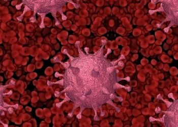 ഇന്ത്യയിൽ പുതുതായി ഏഴ്  കോവിഡ് മരണങ്ങൾ , ഒരാഴ്ചയ്ക്കിടെ കേരളത്തിൽ റിപ്പോർട്ട് ചെയ്തത് 400ൽ അധികം   കേസുകൾ, ജാഗ്രതാ നിർദേശവുമായി ഐസിഎംആർ