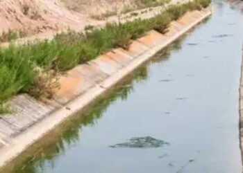 രണ്ടുവയസുകാരന് പിതാവുമായി അടുപ്പക്കൂടുതൽ, മകൻ ജിന്നിന്റെ പിടിയിൽ, കുടുംബത്തിന് നാശം, ദുർമന്ത്രവാദിനിയുടെ വാക്ക് കേട്ട് കുട്ടിയെ കനാലിലെറിഞ്ഞ് കൊന്നു