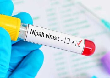 നാലു ദിവസത്തിലേറെയായി പനി, സംസ്ഥാനത്ത് വീണ്ടും നിപ്പ സ്ഥിരീകരിച്ചു, രോ​ഗം സ്ഥിരീകരിച്ചത് 42 കാരിയായ യുവതിക്ക്