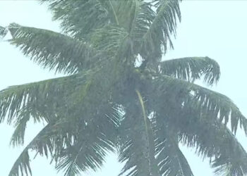 കേരളത്തിൽ മഴ മുന്നറിയിപ്പിൽ മാറ്റം, അതിശക്തമായ മഴയ്ക്ക് സാധ്യത; ഈ 4 ജില്ലകളിൽ ഓറഞ്ച് അലർട്ട്