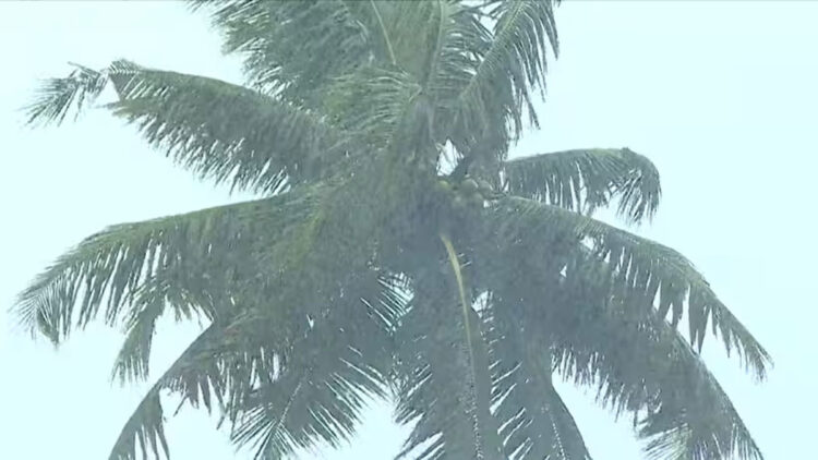 കേരളത്തിൽ മഴ മുന്നറിയിപ്പിൽ മാറ്റം, അതിശക്തമായ മഴയ്ക്ക് സാധ്യത; ഈ 4 ജില്ലകളിൽ ഓറഞ്ച് അലർട്ട്