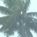 കേരളത്തിൽ മഴ മുന്നറിയിപ്പിൽ മാറ്റം, അതിശക്തമായ മഴയ്ക്ക് സാധ്യത; ഈ 4 ജില്ലകളിൽ ഓറഞ്ച് അലർട്ട്