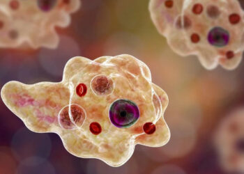 അമീബിക്ക് മസ്തിഷ്‌ക ജ്വരം: രോഗ നിര്‍ണയത്തില്‍ നിര്‍ണായക ചുവടുവയ്പ്പുമായി ആരോഗ്യ വകുപ്പ്