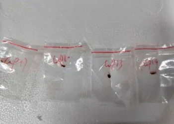 രാജ്യത്തെ നശിപ്പിക്കാൻ ശക്തിയുള്ള രോഗാണുക്കളെ യുഎസിലേക്ക് കടത്തി ചൈനീസ് പൗരൻമാർ, കന്നുകാലികൾ മുതൽ മനുഷ്യരെ വരെ ഉന്മൂലനം ചെയ്യാൻ കഴിവുള്ളത്